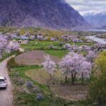 Spring Blossom in Northern Pakistan – The Perfect Time for a Scenic Road Trip