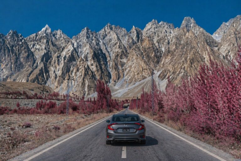 Spring Blossom in Hunza & Skardu: A Journey Through Nature’s Masterpiece